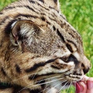 Meet your Posher, Jana